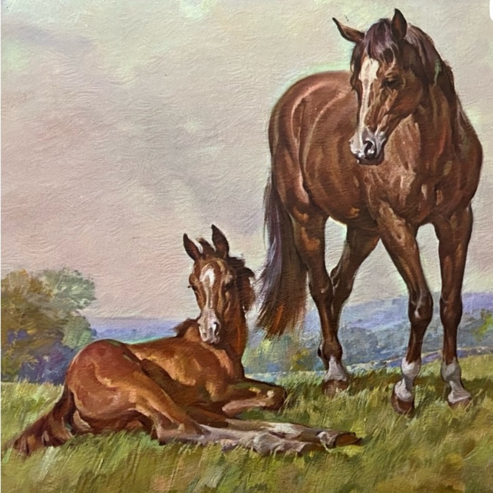 2 prints Brown Horse mare foal running horses Print horses equestrian equine